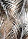 Golden Brown Palm Leaves 1