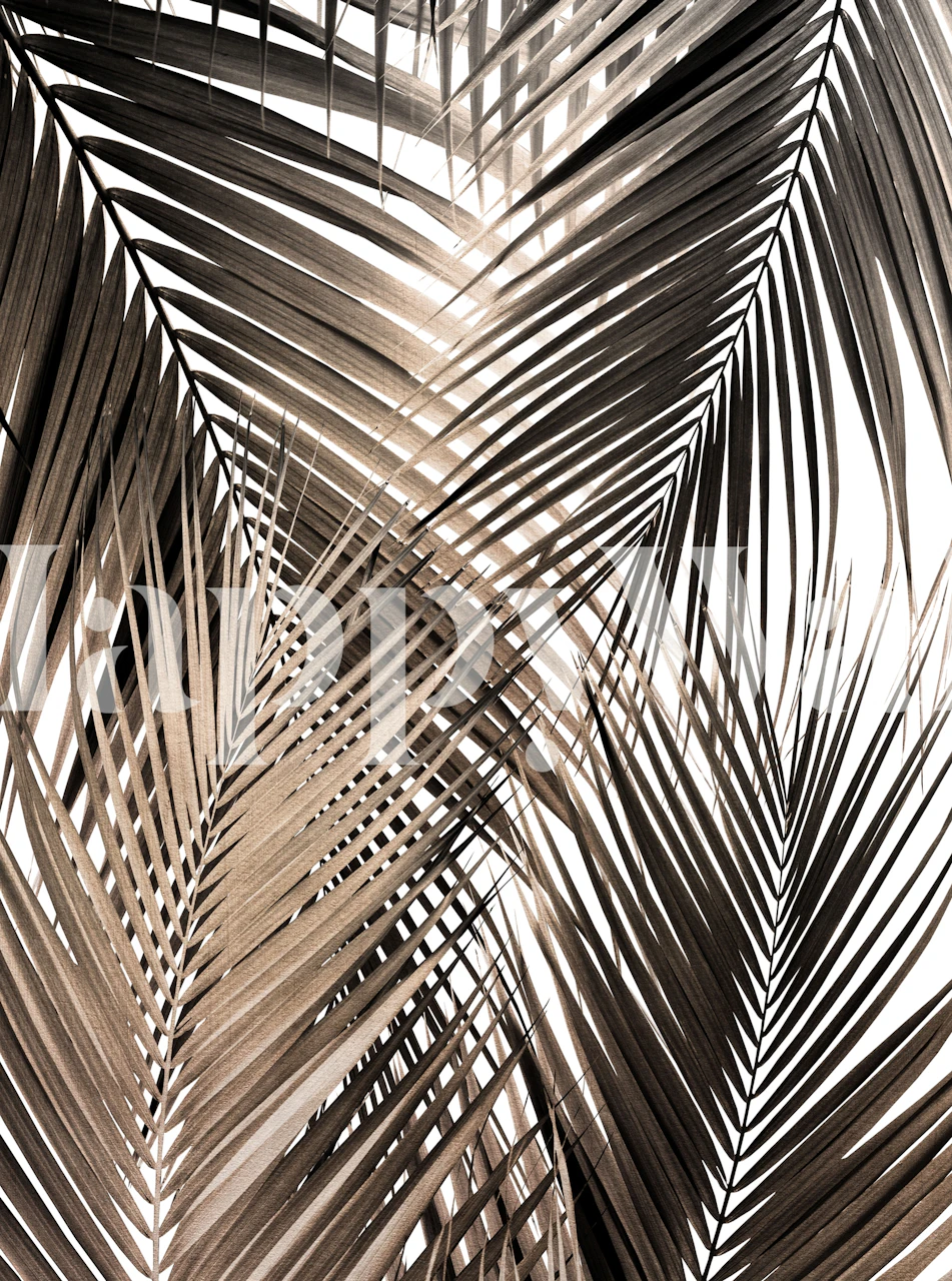 Tropical palm leaves in golden brown tones wallpaper