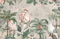Nostalgic Cockatoo Jungle Discovery tapete