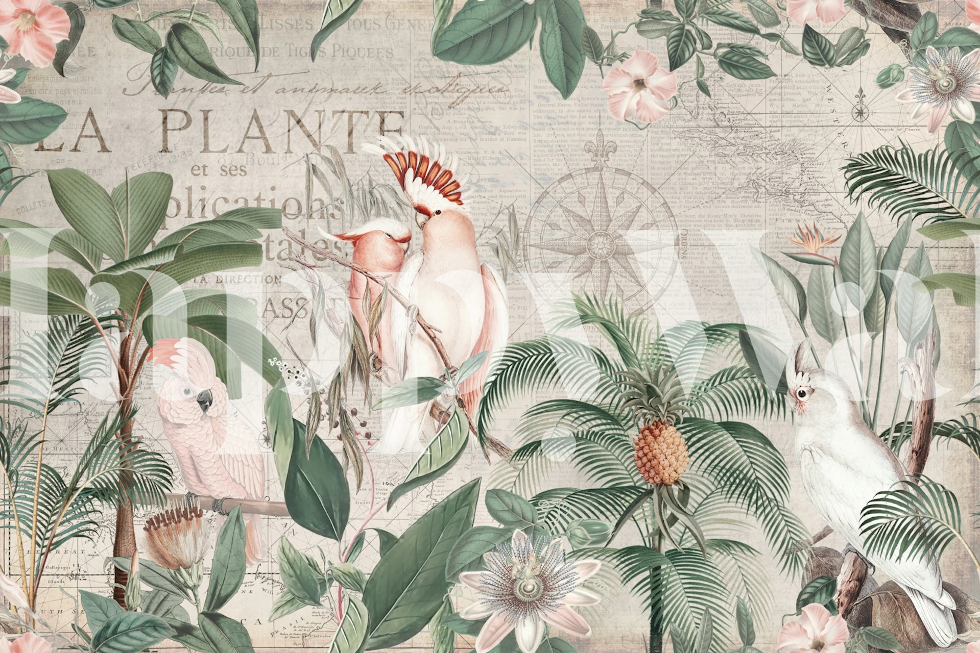 Tropical cockatoos and flowers in green foliage wallpaper