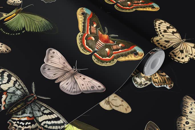 Nocturnal Mothmans and Butterflieswallpaper roll