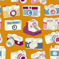 Vintage Cameras on Curry behang