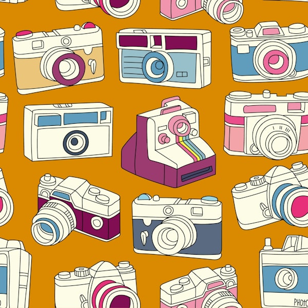 Vintage Cameras on Curry