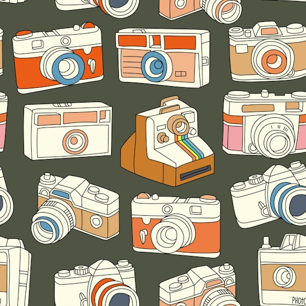 Vintage Cameras on Khaki