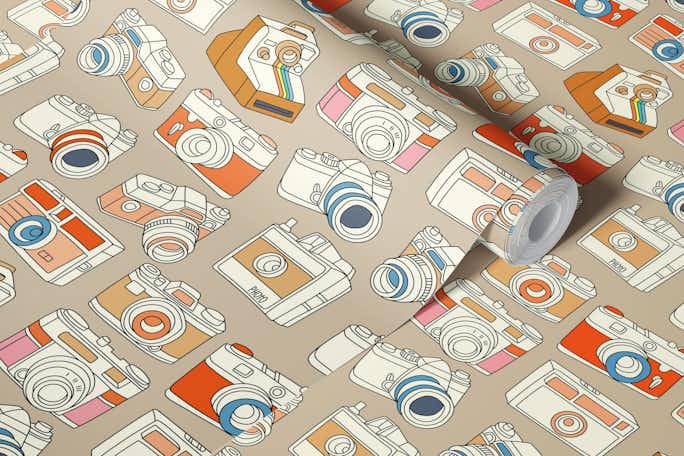Vintage Cameras on Sandwallpaper roll