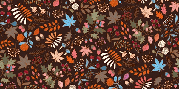 Natures Best on Mocca