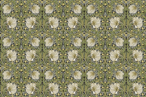 Sage Black Pimpernel