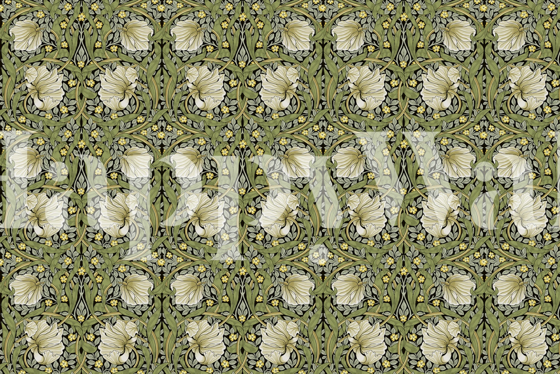 Sage green floral wallpaper with intricate cream flowers