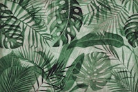 Green Jungle Tropical Monstera Palm Leaves carta da parati