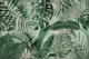 Green Jungle Tropical Monstera Palm Leaves