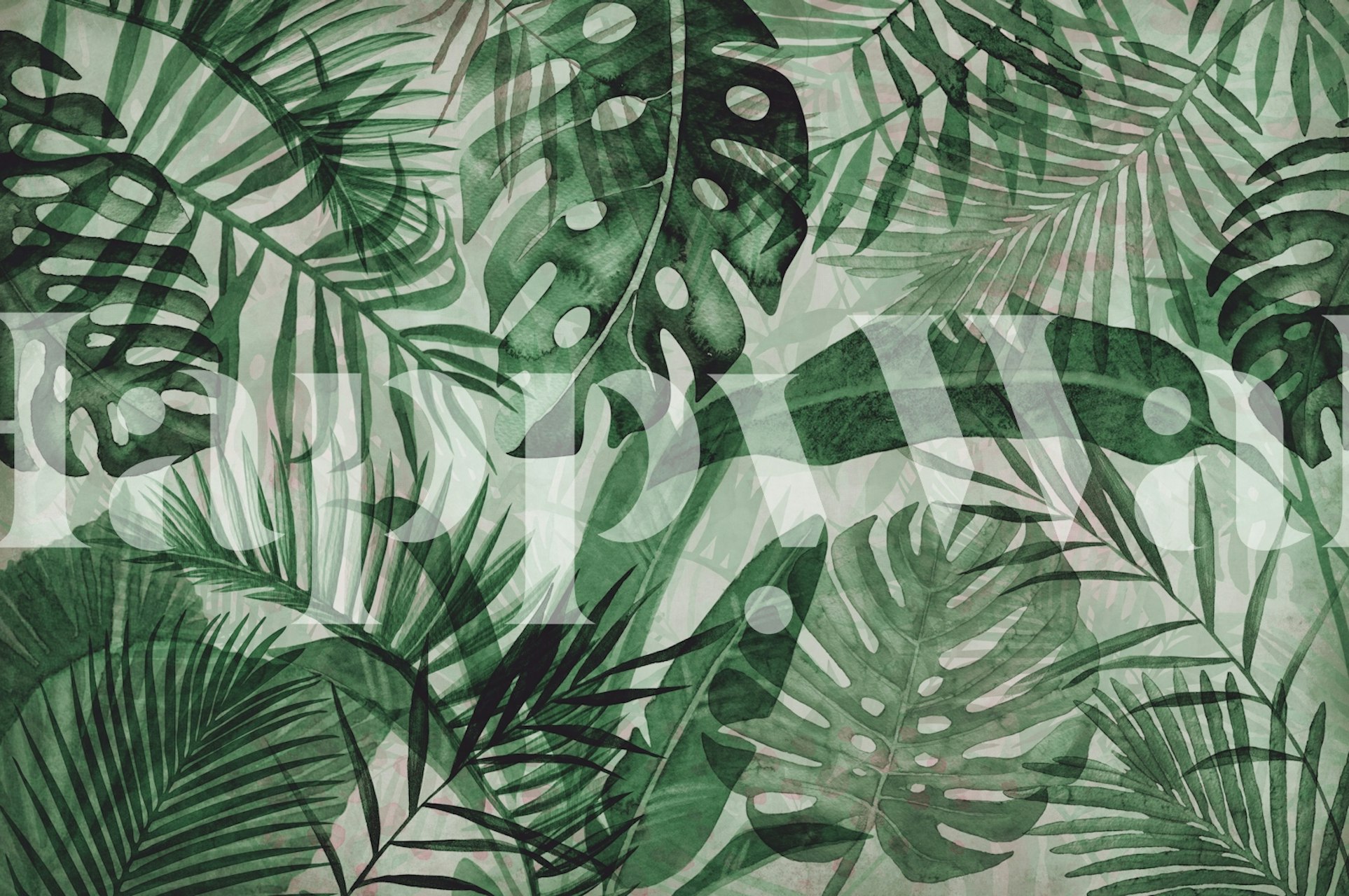 Tropical Monstera palm leaves in green shades wallpaper