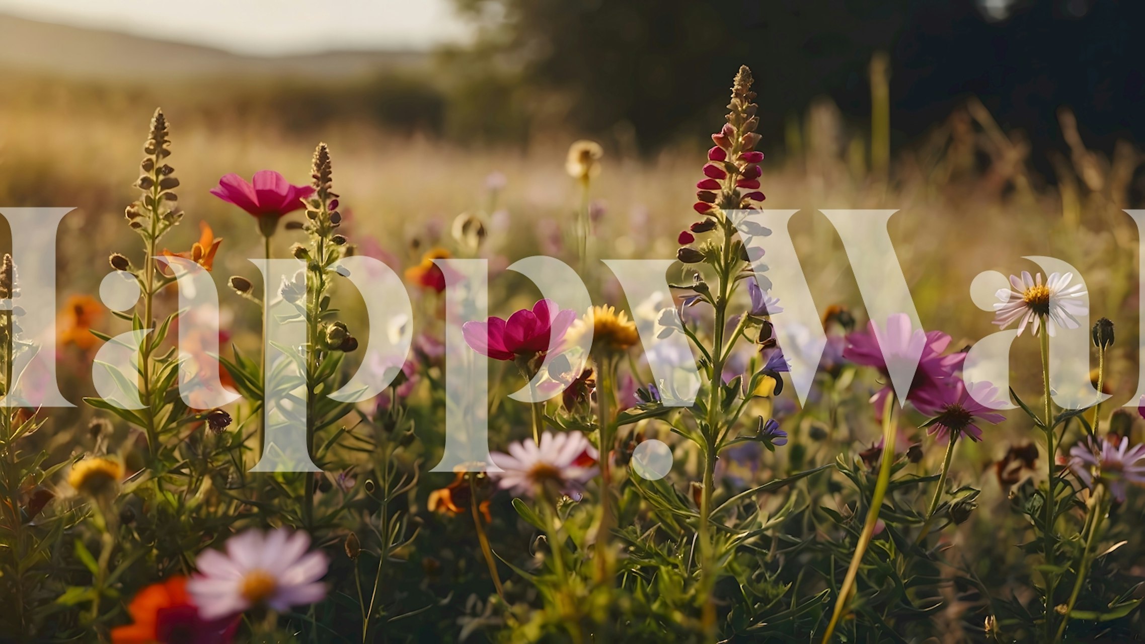 Květinové tapety s barevnými květinami