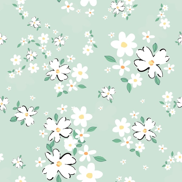 Daisies with green
