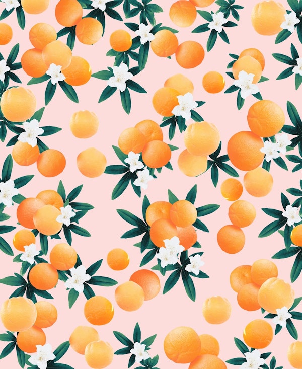 Orange Twist Flower Vibes 7