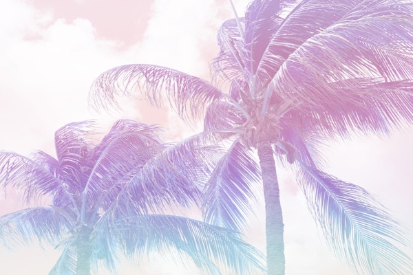 Pastel Unicorn Summer Paradise Palms 1