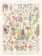 Fleurs - Encyclopedie Larousse - ASTER