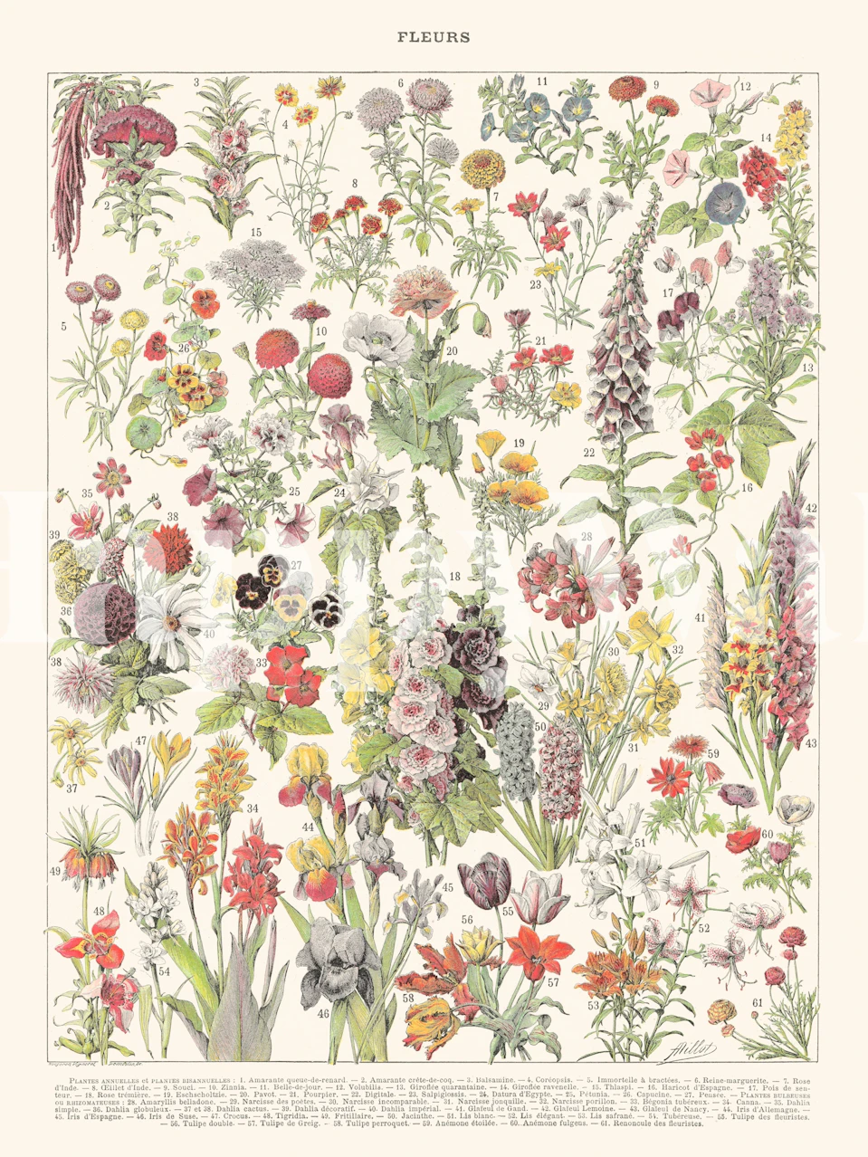 Design de papel de parede floral com várias flores