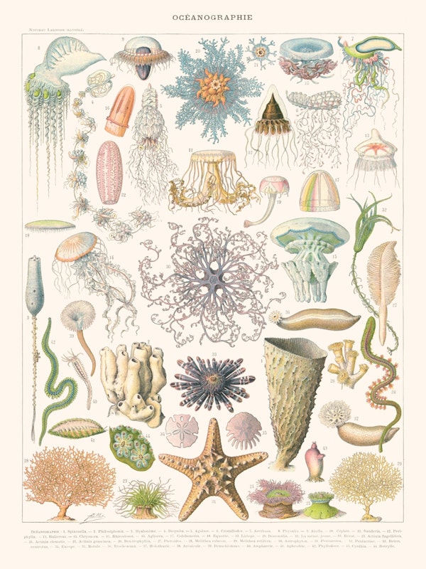 Oceanography - Encyclopedie Larousse - ASTER