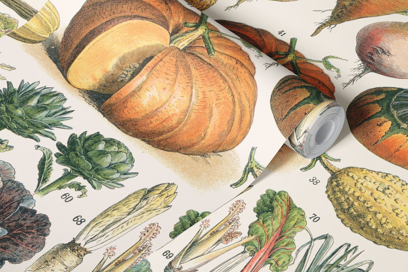 Vegetable - Vintage Encyclopedia Plate wallpaper roll