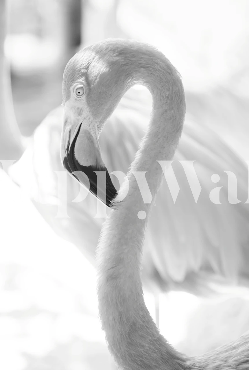 Elegante flamingo muurschildering die een serene tropische sfeer creëert