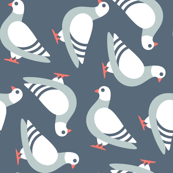 Cute pigeons / 3079 A