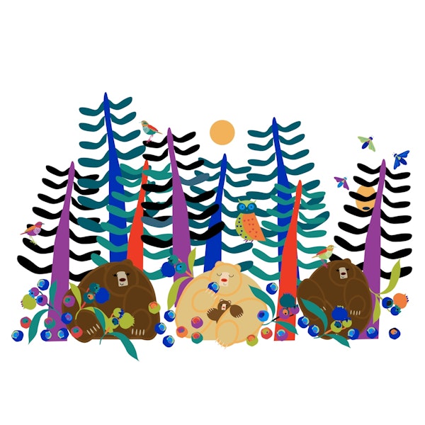 Blueberry Bear Camp