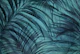 Lush Teal Green Tropical Palm Cove