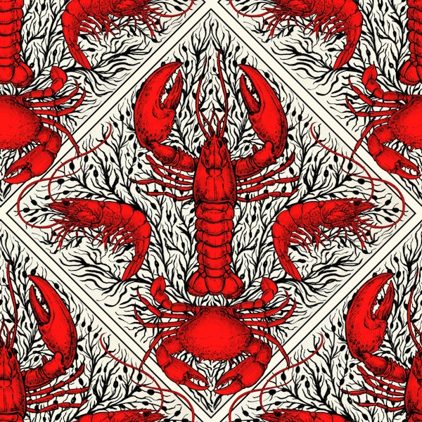 Crustacean in red, black and ivory