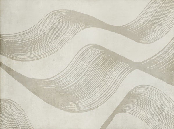 Abstract Curves Paint Strokes