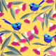 Splendid Fairy Wrens and Pink Eucalyptus