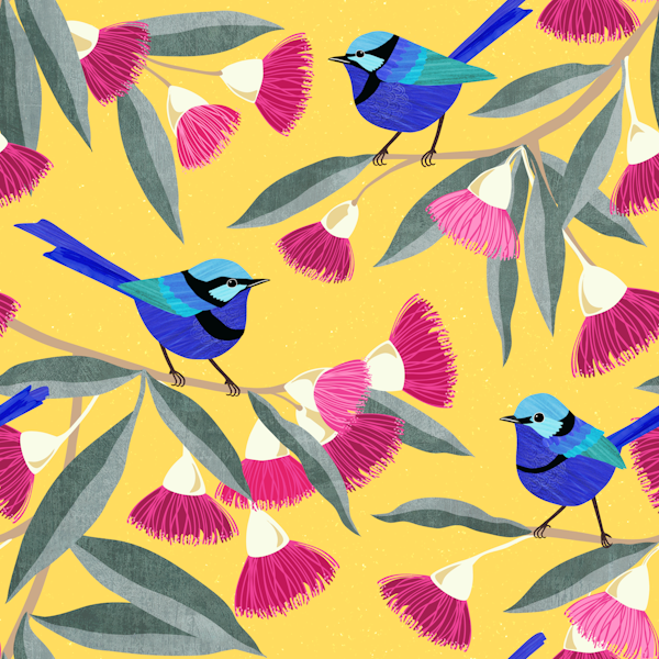Splendid Fairy Wrens and Pink Eucalyptus