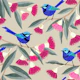 Splendid Fairy Wrens & Pink Eucalyptus grey