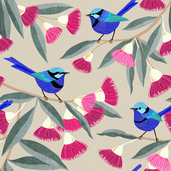 Splendid Fairy Wrens & Pink Eucalyptus grey