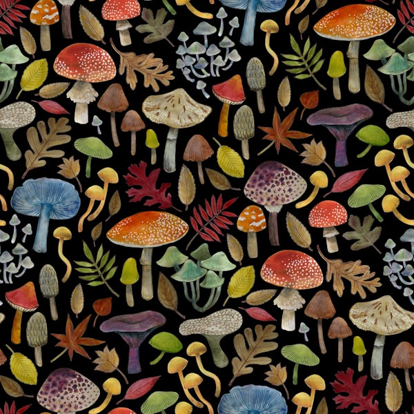 Watercolour toadstools and Autumn leaves