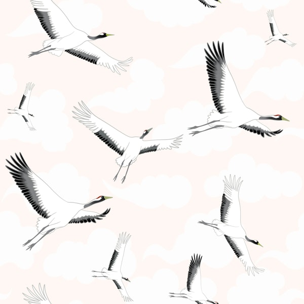 Flying Cranes on a Cloudy Sky 4