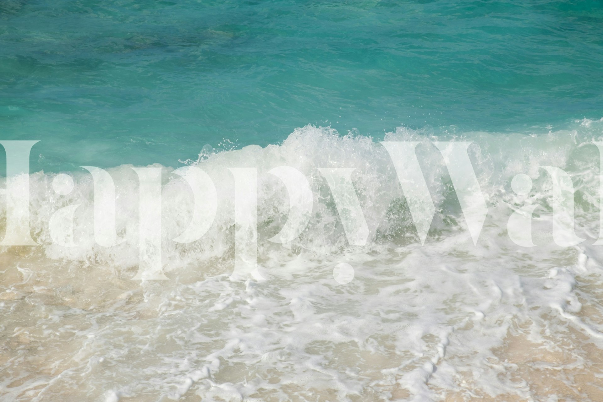 Caribbean Sea Bliss 6 tapet i et rum