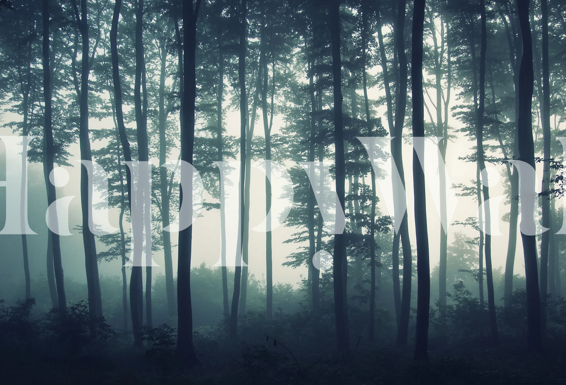 Tapeta zobrazující mlhavou lesní scénu