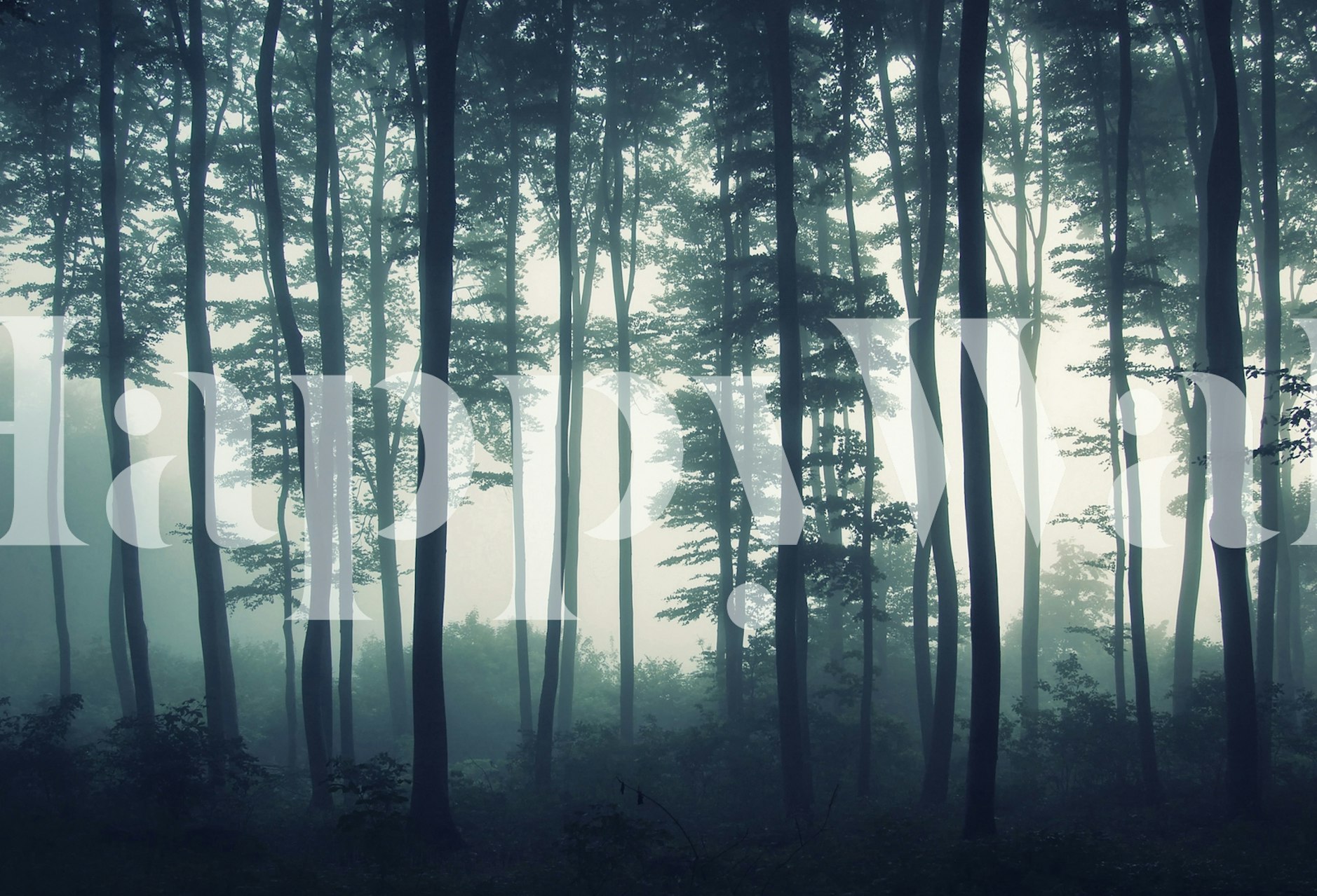 Papel tapiz que presenta una escena de bosque brumoso
