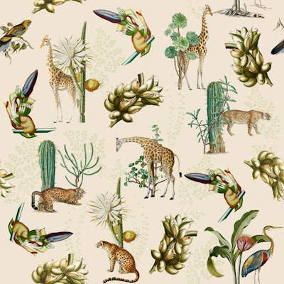 Pattern