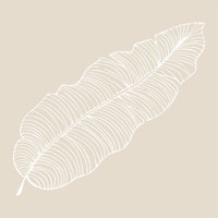 Nude beige large palm leaf papel de parede