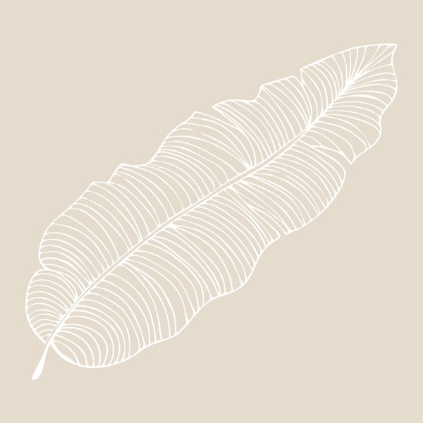 Jumbo scale palm leaf in tan