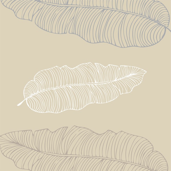 Large scale tan palm leaves