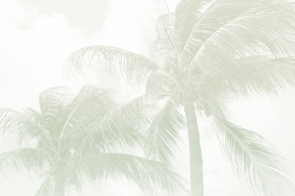 Summer Paradise Palms 6 - Soft Sage Green