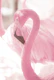 Curadise Flamingo 3