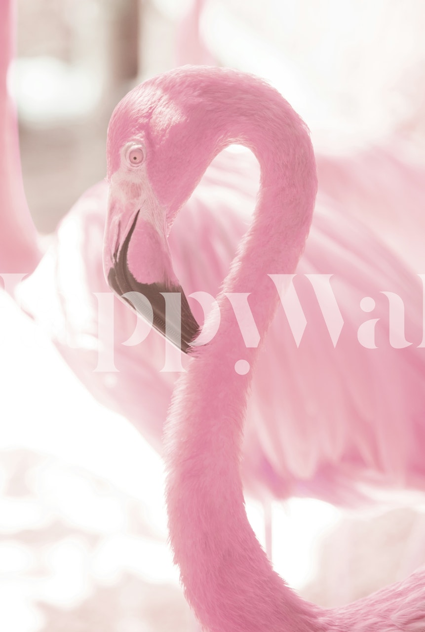 Pink flamingo with soft pink tones, floral style wallpaper