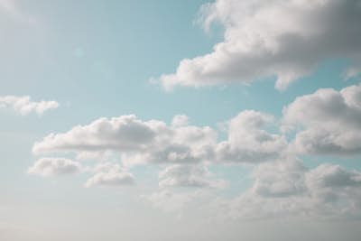 Τοιχογραφία