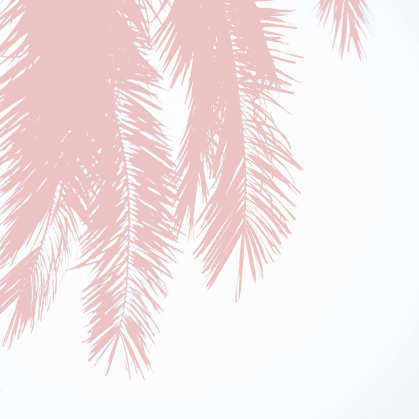 Tree Palm Leaves in Pastel Pink