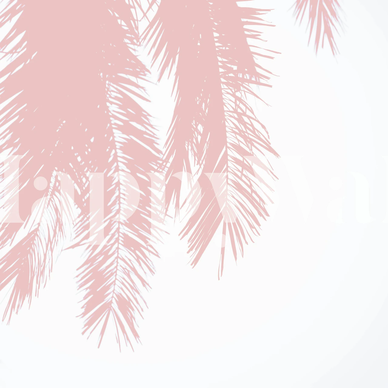 Palm leaves in soft pastel pink on a white background wallpaper