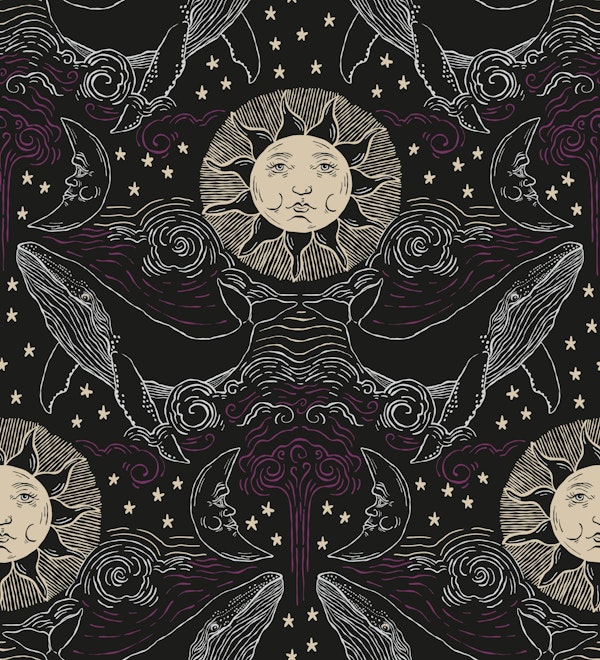 Whales in the mysterious sky black