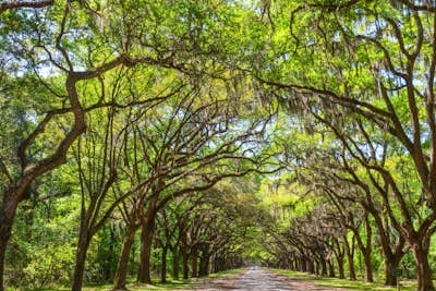 Τοιχογραφία